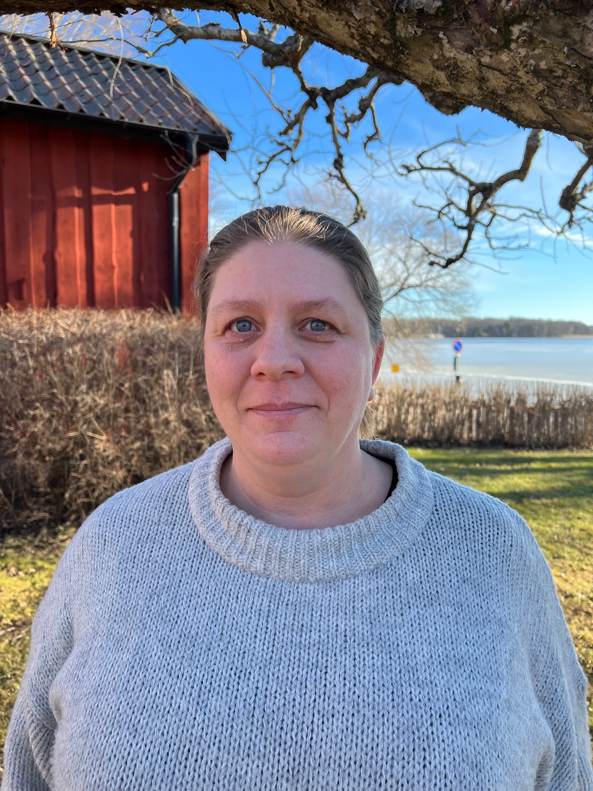 Lillemor Pettersson